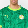 PUMA Senegal 2026 Heimtrikot grün 99148 3