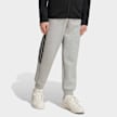 adidas Originals Spacer Track Pants grigio 99592 1