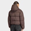adidas Originals Hooded Padded Jacket bruin 102754 2