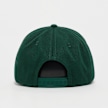 New Era 9FORTY A Frame LA Dodgers Updown groen 106076 2