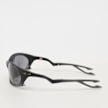Oakley Plantaris schwarz 107720 2