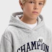 Champion Hooded Sweatshirt siva 108210 3