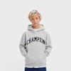 Champion Hooded Sweatshirt Gris 108210 1