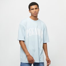 Pegador 01976253 niebieski