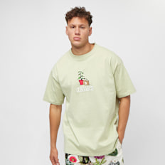 Converse 02069174 vert