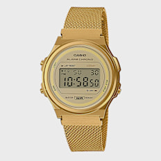 CASIO Vintage Round A171WEMG-9AEF multicolorido