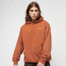 Dickies UNIONTOWN HOODIE  Uniontown  Hoodie vert