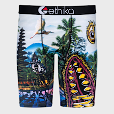 Ethika Bmr Primal Bottom multicolore