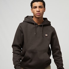 Dickies Oakport Hoodie bruin