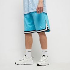 Karl Kani Small Signature Essential Mesh Shorts azul
