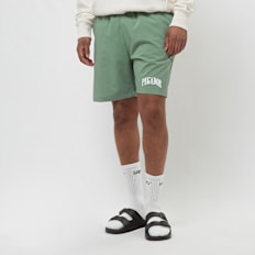 Pegador Grant Swim Shorts groen