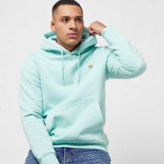 Dickies Oakport Hoodie türkis