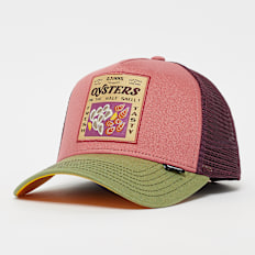 DJINNS HFT Cap Food Oysters multicolore