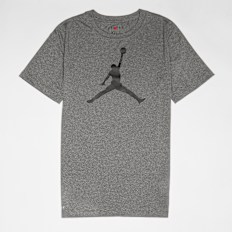Jordan Jumpman Logo Dri Fit Tee grau