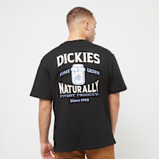 Dickies Elliston Tee Shortsleeve schwarz