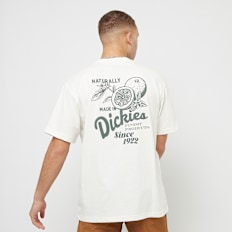 Dickies Raven Tee Shortsleeve bianco