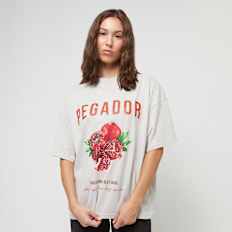 Pegador Balari Heavy Oversized Tee grijs