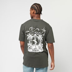 Karl Kani Icy Dancer Backprint Tee cinzento