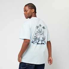 Karl Kani Kani Glacier Palm Trees Backprint Tee light blue blauw