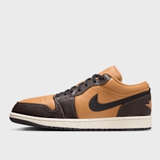 Jordan Air Jordan 1 Low SE multicolor