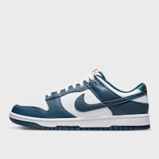 Nike Dunk Low Retro blu