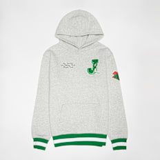 Jordan Court of Legends Hoodie grijs