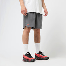 Under Armour 6" Vanish Woven Shorts grijs