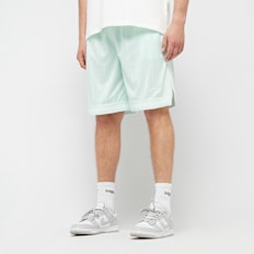 Karl Kani Signature Pinstripe Mesh Shorts vert