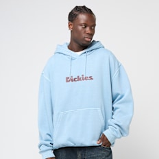 Dickies SLAYDEN GD HOODIE glacier lake blu
