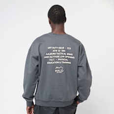 HALO Graphic Boxy Crew grau
