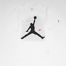 Jordan Jumpman Grid Blur Weiss