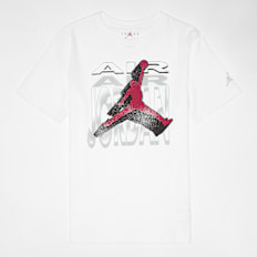 Jordan Air 2 3D Short Sleeve Tee weiß