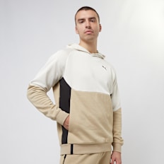 PUMA Pumatech Hoodie FL bege