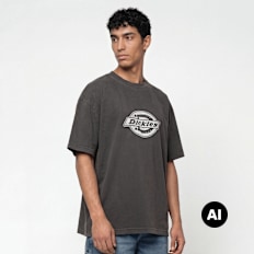 Dickies Plainville Shortsleeve Tee grau