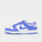 Nike Dunk Low blau
