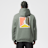 Jordan Brooklyn Graphic Hooded Pullover grün