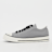 Converse Chuck Taylor Throwback grau