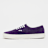Vans Authentic pourpre