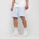 Pegador Logo Swim Shorts bleu 31936 1