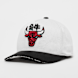 Mitchell & Ness Year Of The Snake NBA Chicago Bulls multicolore 44749 1