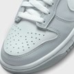 Nike   Dunk Low (GS) grijs 7508 7