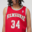 Mitchell & Ness Giannis Antetokounmpo NBA Milwaukee Bucks 2014/15 Swingman Jersey rot 33111 3