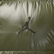 Jordan Flight Down Vest vert 40278 4