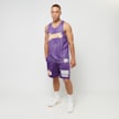 Mitchell & Ness NBA Reversible Mesh Tank Vintage Logo La Lakers viola 40243 8