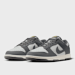 Nike   Dunk Low Next Nature grau 40724 4