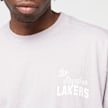 Mitchell & Ness NBA Elite Neutrals Oversized Tee LA Lakers viola 44925 3
