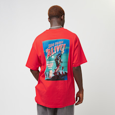 Zoo York Dark Tee rood