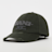 Karl Kani Retro Distressed Dad Cap grün