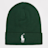 Polo Ralph Lauren Cold Weather Hat grün