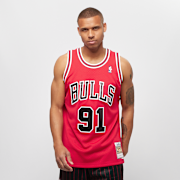 Unselected, Mitchell & Ness, NBA Swingman Chicago Bulls Dennis Rodman scarlet, red (Sold-out)